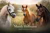 Welsh A Pony Ostfriesenwind Niedersachsen Ostfriesland Mandy Hollmann Photographie Banner